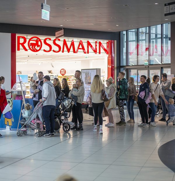 kolejka do wydarzenia kicia kocia w galerii veneda