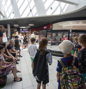 wydarzenie piłkarska sobota w galerii veneda, zdjęcie oktagonu piłkarskiego i ludzi