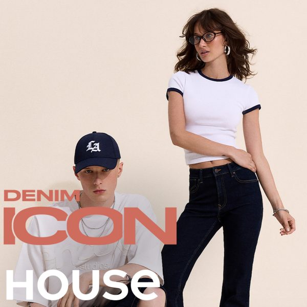 ICONS w House